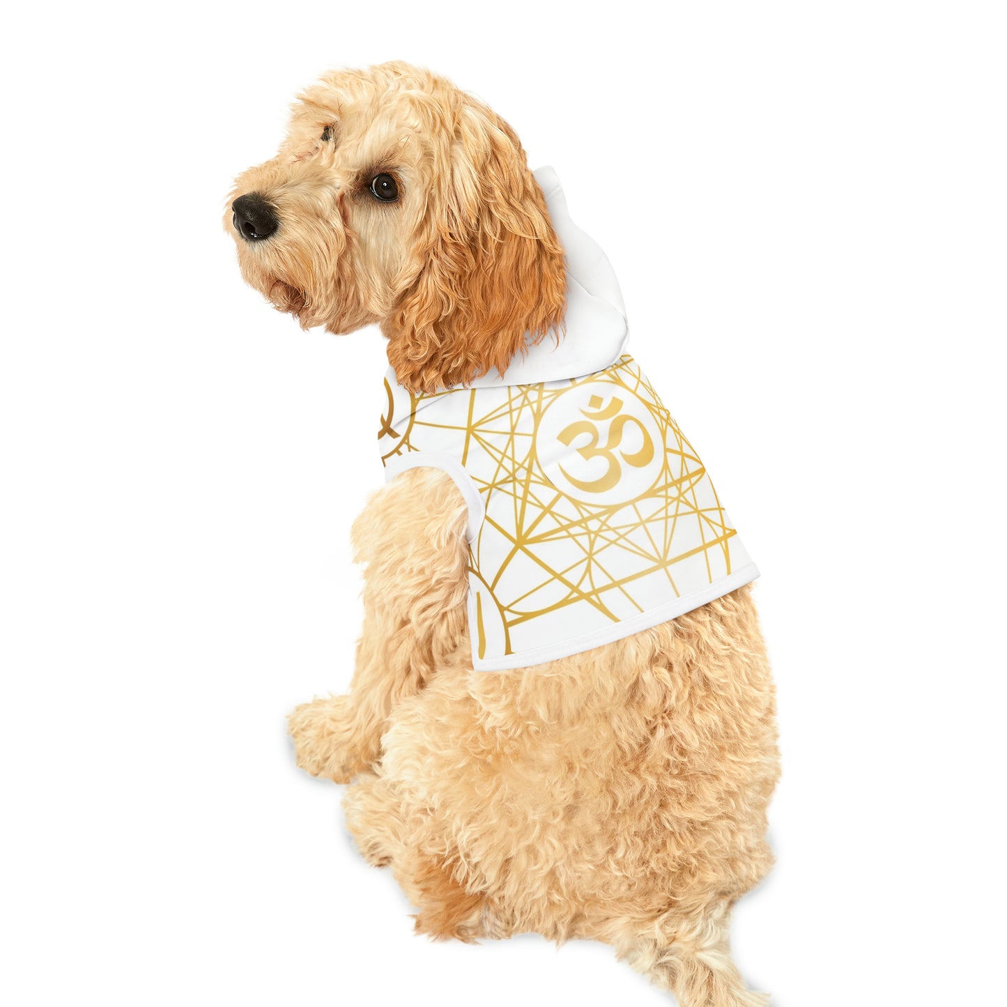 Pet Hoodie